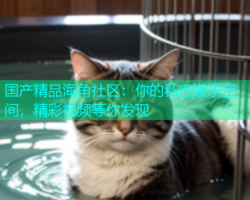 国产精品海角社区：你的私密娱乐空间，精彩视频等你发现