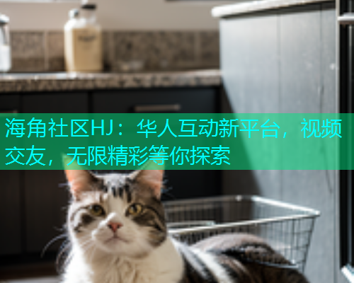 海角社区HJ：华人互动新平台，视频交友，无限精彩等你探索