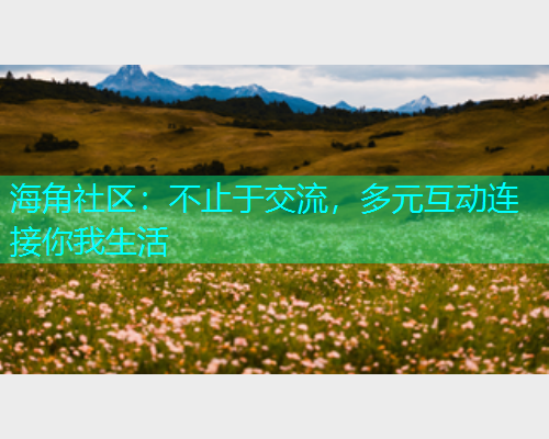 海角社区：不止于交流，多元互动连接你我生活