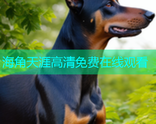 海角天涯高清免费在线观看