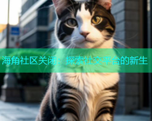 海角社区关闭：探索社交平台的新生