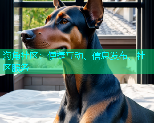 海角社区：便捷互动、信息发布、社区服务