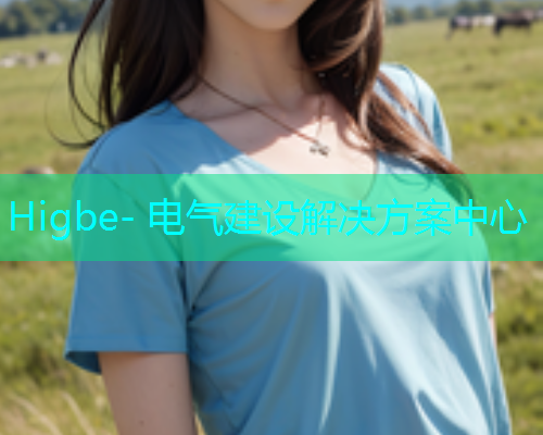 Higbe- 电气建设解决方案中心