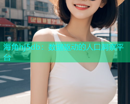 海角hj5db：数据驱动的人口洞察平台