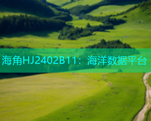 海角HJ2402B11：海洋数据平台
