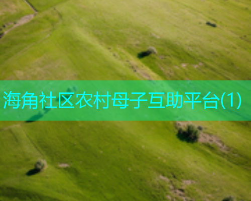 海角社区农村母子互助平台(1)