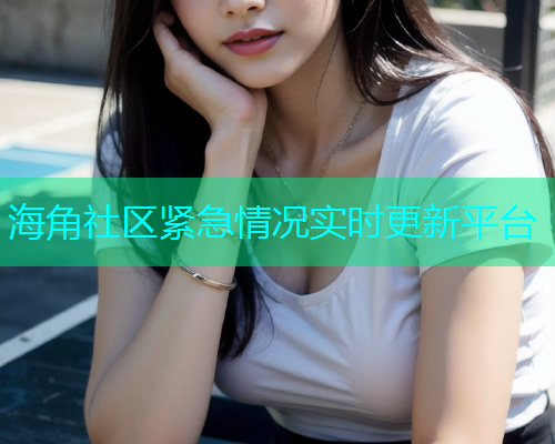 海角社区紧急情况实时更新平台