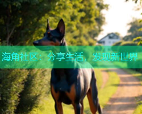 海角社区：分享生活，发现新世界