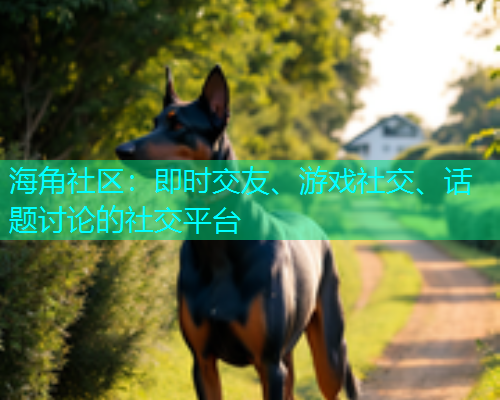 海角社区：即时交友、游戏社交、话题讨论的社交平台