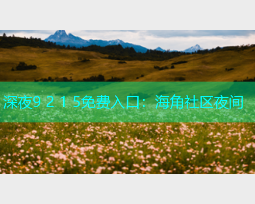 深夜9 2 1 5免费入口：海角社区夜间