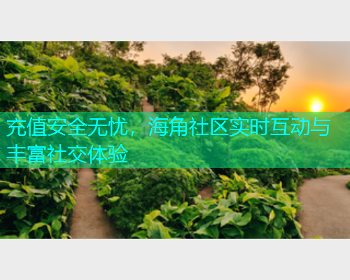 充值安全无忧，海角社区实时互动与丰富社交体验