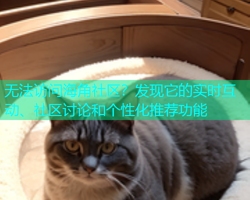 无法访问海角社区？发现它的实时互动、社区讨论和个性化推荐功能