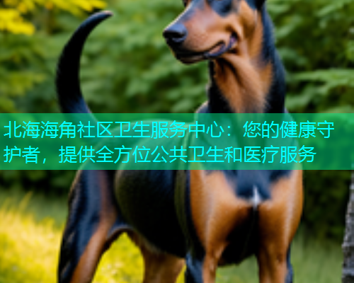 北海海角社区卫生服务中心：您的健康守护者，提供全方位公共卫生和医疗服务
