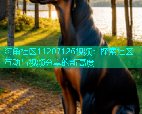 海角社区11207126视频：探索社区互动与视频分享的新高度