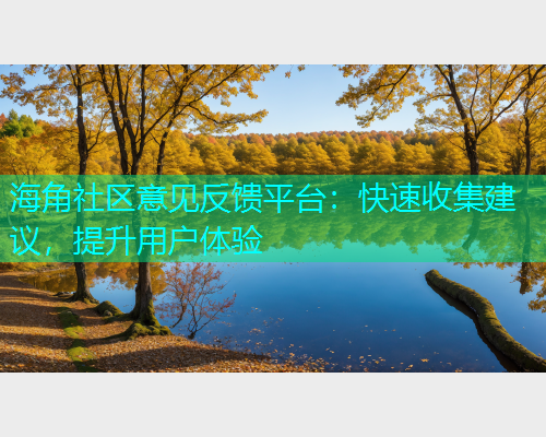 海角社区意见反馈平台：快速收集建议，提升用户体验
