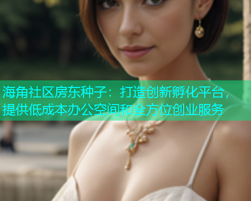 海角社区房东种子：打造创新孵化平台，提供低成本办公空间和全方位创业服务