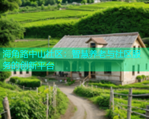 海角路中山社区：智慧养老与社区服务的创新平台