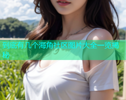 到底有几个海角社区图片大全一览揭秘