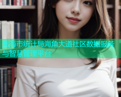 北海市统计局海角大道社区数据服务与智慧管理平台