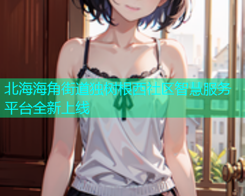 北海海角街道独树根西社区智慧服务平台全新上线