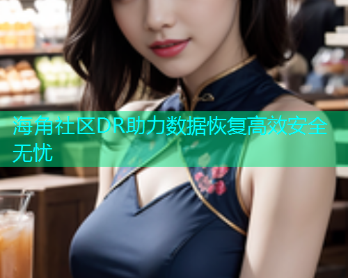 海角社区DR助力数据恢复高效安全无忧