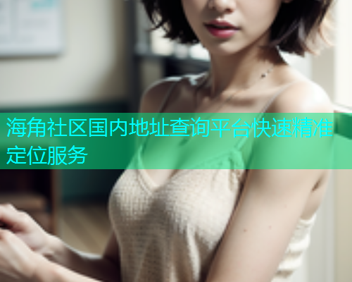 海角社区国内地址查询平台快速精准定位服务