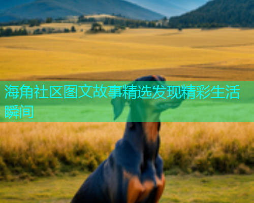 海角社区图文故事精选发现精彩生活瞬间