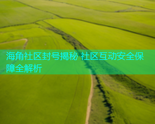 海角社区封号揭秘 社区互动安全保障全解析
